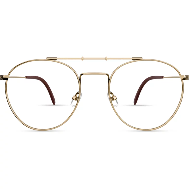 Avatar gold classic eyewear with double bridge