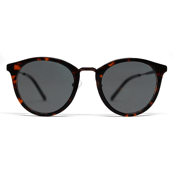 PARIS-DB-47-Polarized-Grey-80